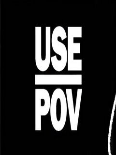 UsePov